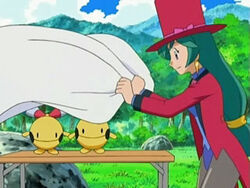 Pokemon Francesca Pokemon Francesca